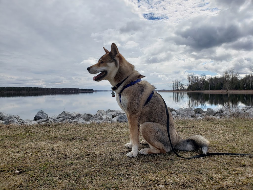Luther Marsh Wildlife Management Area | 034588 21 Side Road, Grand Valley, ON L9W 0H2, Canada | Phone: (519) 928-2832