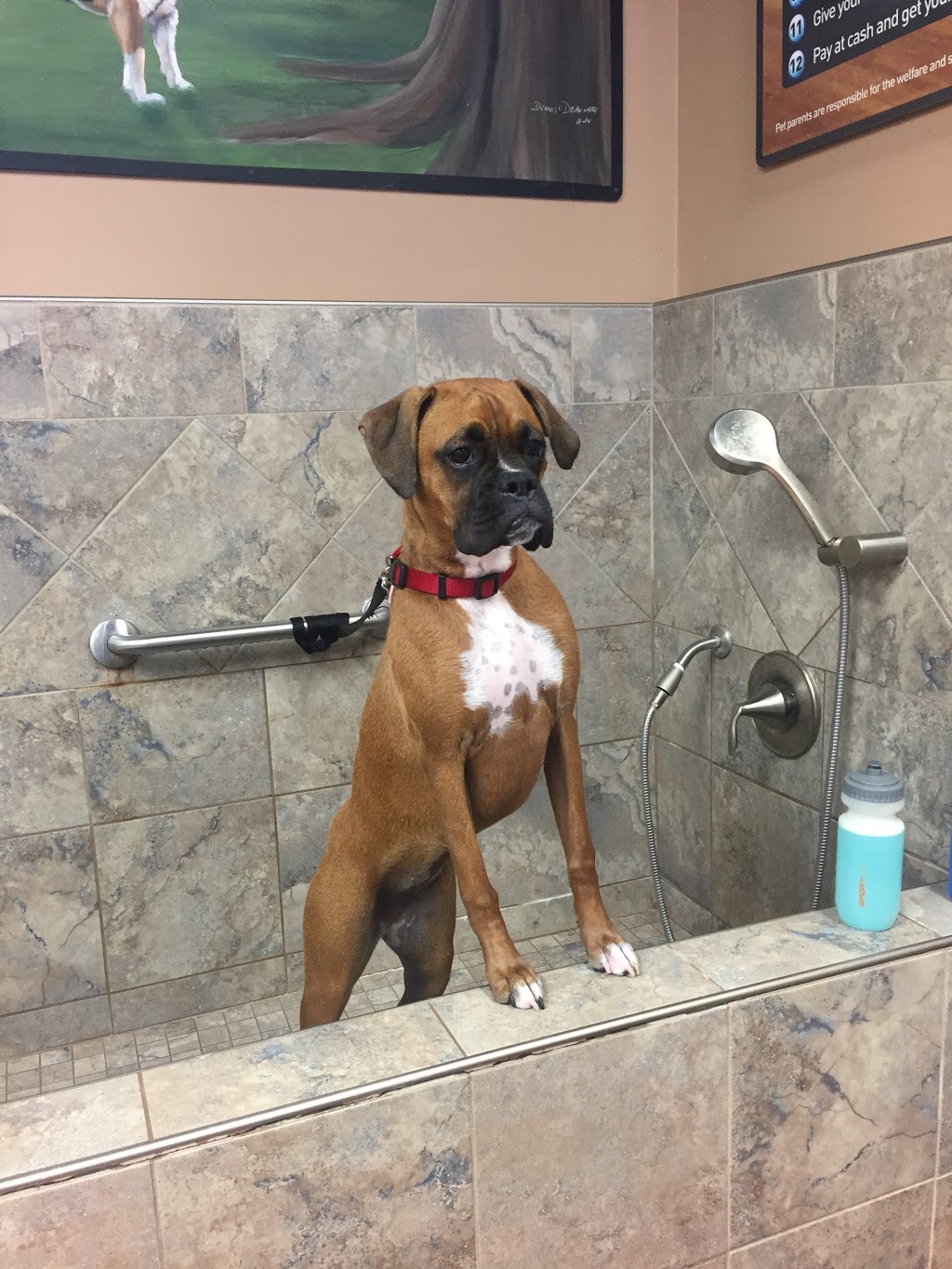 Pet Valu | 5029 Hurontario St, Mississauga, ON L4Z 3X7, Canada | Phone: (905) 501-1176