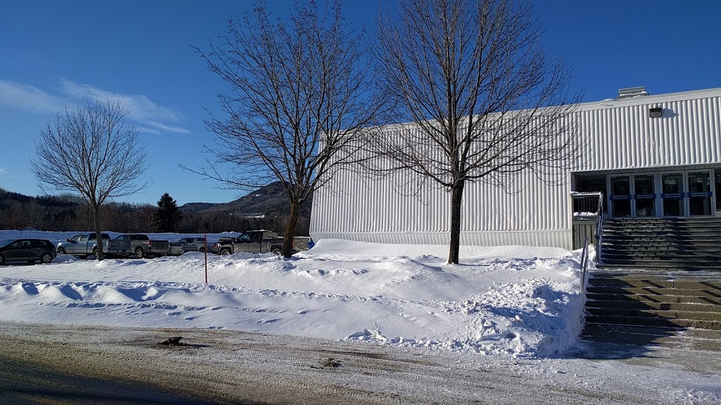 Aréna De Clermont Saison | 31 Rue Larouche, Clermont, QC G4A 1C7, Canada | Phone: (418) 439-3773
