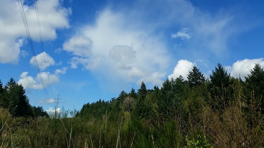 Francis King Regional Park - Main Parking Lot | Munn Rd, Saanich, BC V9E, Canada
