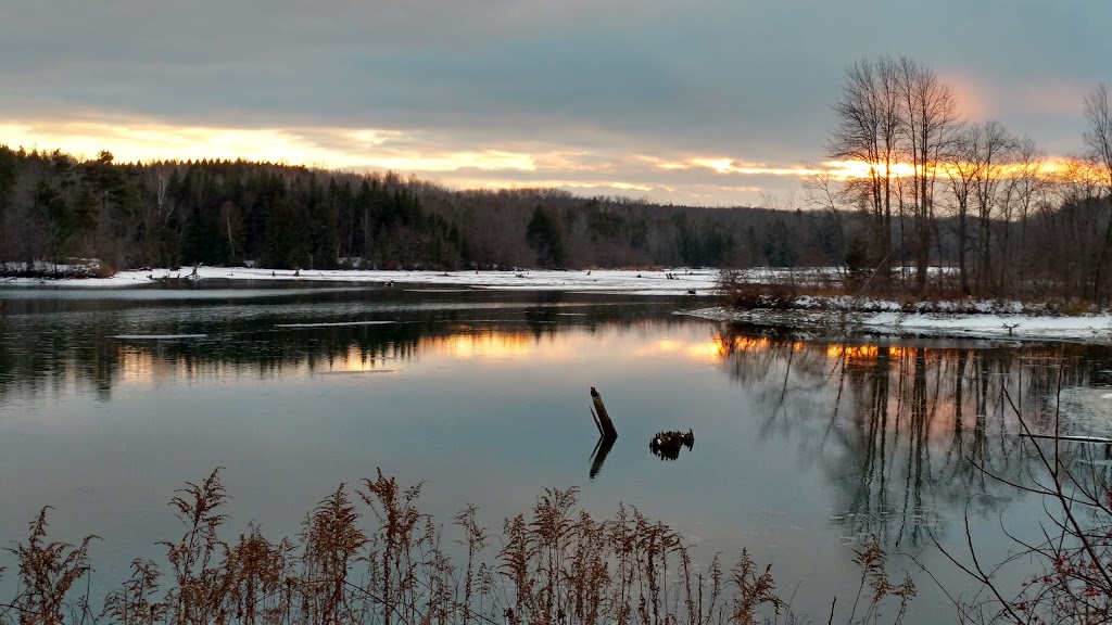 New Lowell Campground | 2894 Hogback Rd, New Lowell, ON L0M 1N0, Canada | Phone: (705) 424-2942