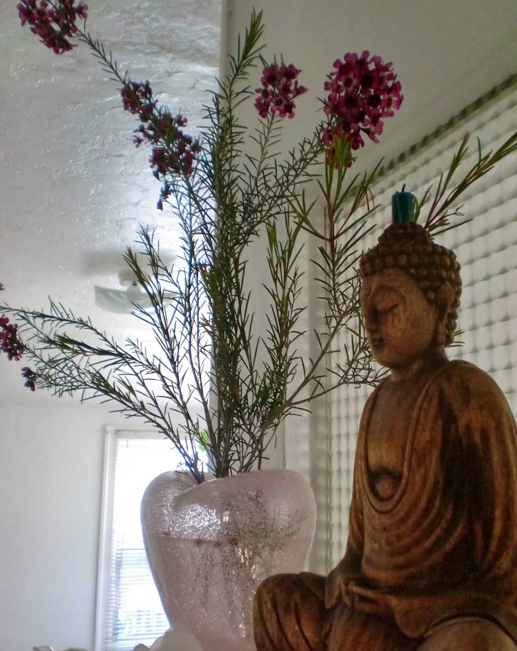 Jiva Yogi Wellness | 1109 Cowgill Ave, Bellingham, WA 98225, USA | Phone: (360) 306-8560