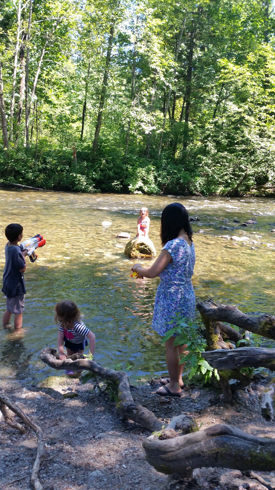 Maple Ridge Park | 23200 Fern Crescent, Maple Ridge, BC V4R 2S7, Canada | Phone: (604) 467-7346