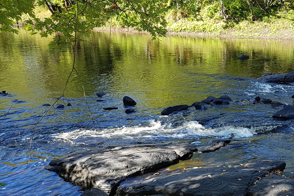 Haids Hideaway Family Campground | 115 Varty Rd, Tweed, ON K0K 3J0, Canada | Phone: (613) 478-6844
