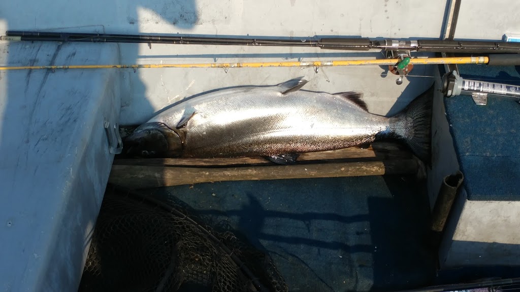 Salmon Express Charters | 80 Lighthouse Rd, St. Catharines, ON L2N 7P5, Canada | Phone: (416) 931-7693