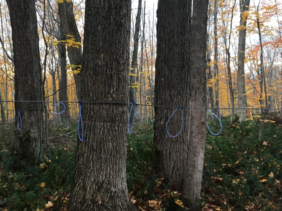 Installations d’érablière Sébastien Tanguay | 19 Rue Audet, Saint-Camille-de-Lellis, QC G0R 2S0, Canada | Phone: (418) 625-0250