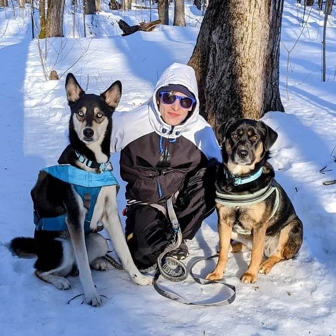 Cottage Country Dogs | 499 Bay St B, Orillia, ON L3V 3X8, Canada | Phone: (647) 520-9728