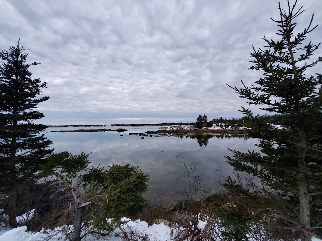 DIGITAL DOOR | 521Bald, Rock Rd, Bald Rock, NS B3V 1K9, Canada | Phone: (902) 800-2324