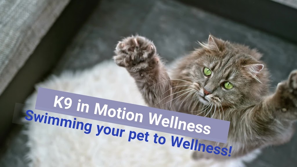 K9 In Motion Wellness | 932 Mervin Avenue Front Unit, Peterborough, ON K9J 5P4, Canada | Phone: (705) 616-0059