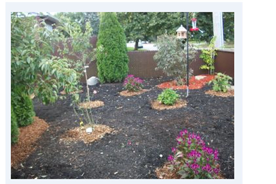 Aménagement Paysager AC | 3470 Rue Diane, Terrebonne, QC G6Y 1A2, Canada | Phone: (514) 825-6816