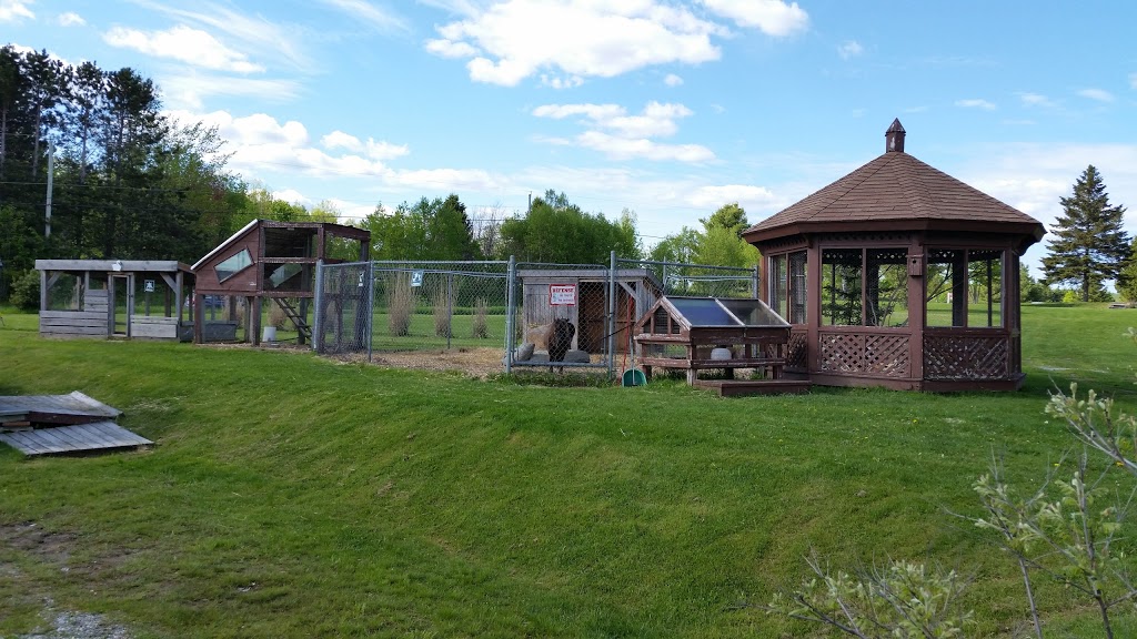 Camping Magog Orford | 611 Ch Alfred Desrochers, Magog, QC J1X 6J4, Canada | Phone: (819) 843-2500
