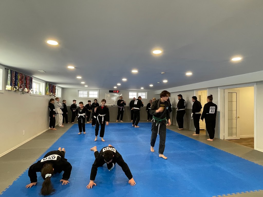 Kawartha Lakes BJJ and Fitness | 11 Cross Creek Rd, Little Britain, ON K0M 2C0, Canada | Phone: (416) 402-3199