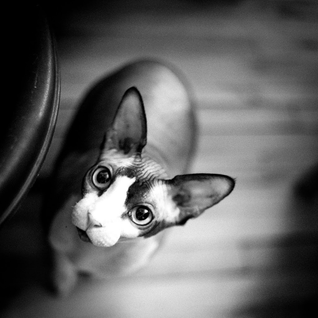 Photographie Jonathan Mercier | 35 Chemin Darveau, Saint-Camille, QC J0A 1G0, Canada | Phone: (819) 212-9875