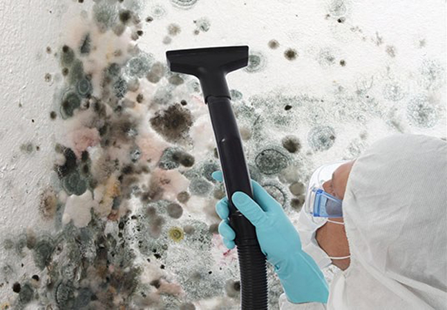 Tower Environmental Services | 2985 Princess Crescent #115, Coquitlam, BC V3B 7P3, Canada | Phone: (604) 910-7277