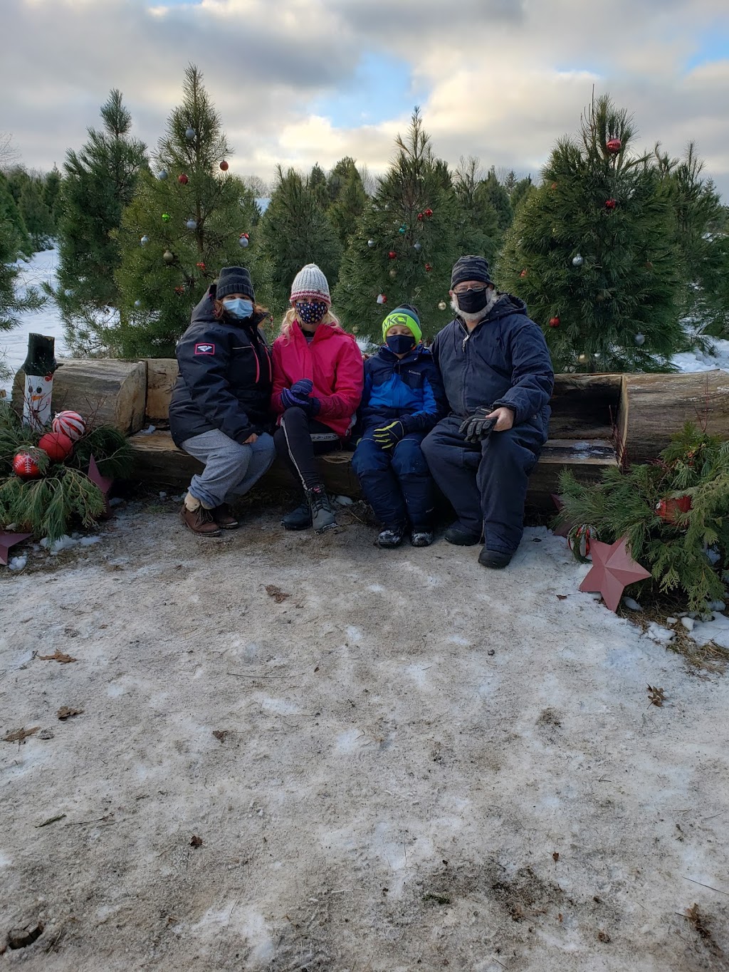 Desroches Tree Farm | 334 Macavalley Rd, Tiny, ON L9M 1R2, Canada | Phone: (705) 549-2271
