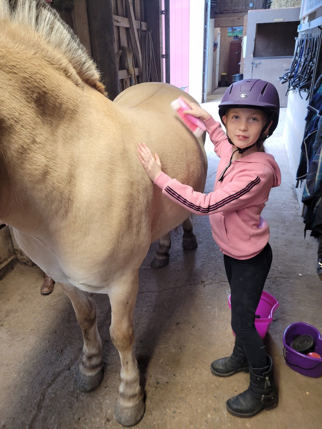 Creekside Equestrian Centre | 2370 Ohio East Rd, Antigonish, NS B2G 2K8, Canada | Phone: (902) 870-6456