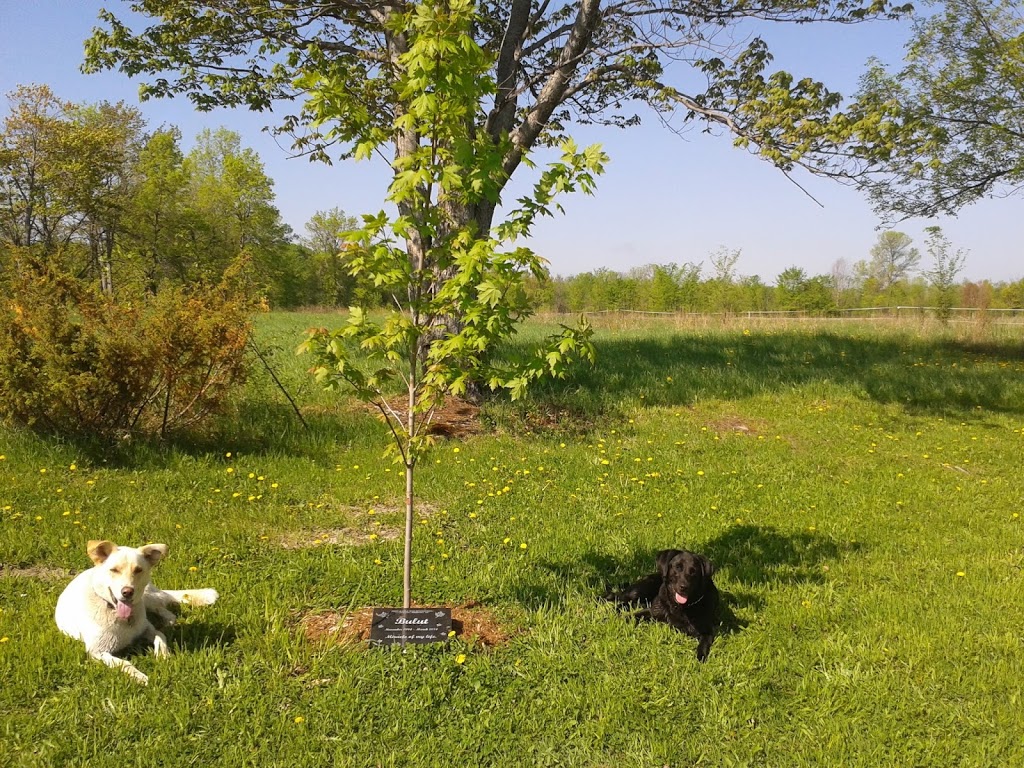 Resting Paws Cemetery & Crematorium Inc | 3395 Torbolton Ridge Rd, Woodlawn, ON K0A 3M0, Canada | Phone: (613) 656-0806