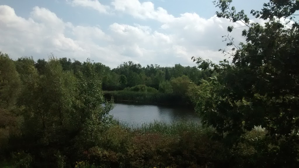 Churchville Park | Brampton, ON L6Y 0A1, Canada