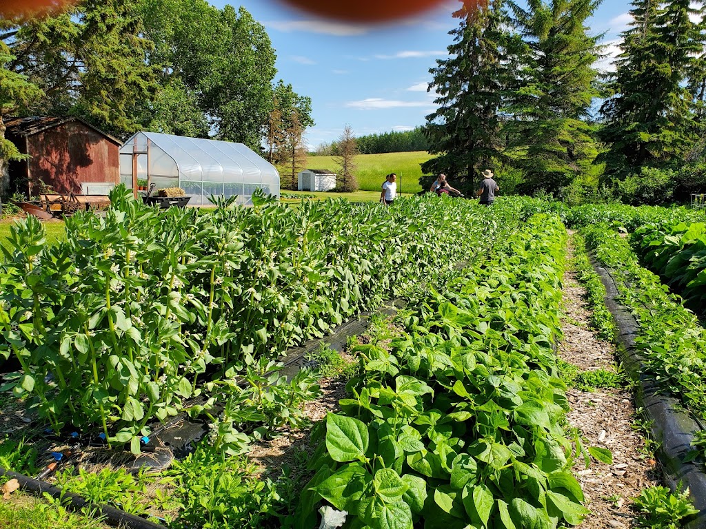 Pitchfork Gardens | 551058 Hwy 831, AB T0B 2R0, Canada | Phone: (780) 405-0330