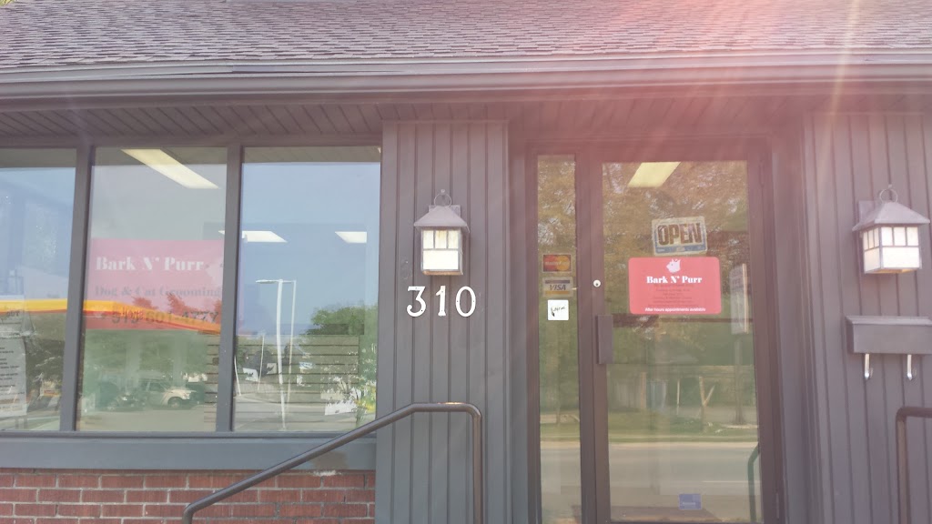 Bark And Purr Pet Grooming | 310 Wharncliffe Rd S, London, ON N6J 2L7, Canada | Phone: (519) 601-4777
