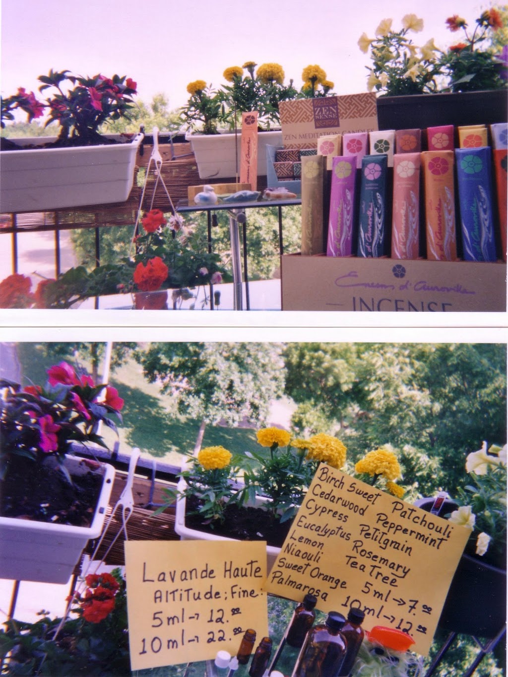 patricia marais gardenia | 189 Rue Victoria, Sorel-Tracy, QC J3P 1Z4, Canada | Phone: (450) 855-3068