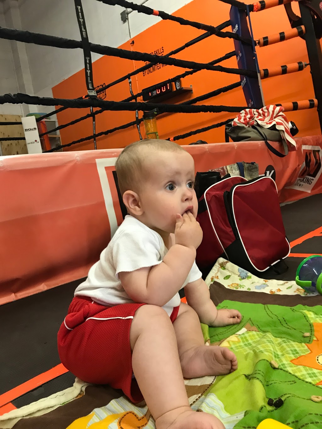 K1 ACADEMY | 4129 Harvester Rd Unit E, Burlington, ON L7L 0C1, Canada | Phone: (905) 333-5425