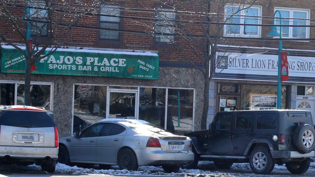 Silver Lion Framing Shop | 3305 Lake Shore Blvd W, Etobicoke, ON M8W 1M8, Canada | Phone: (416) 535-9366