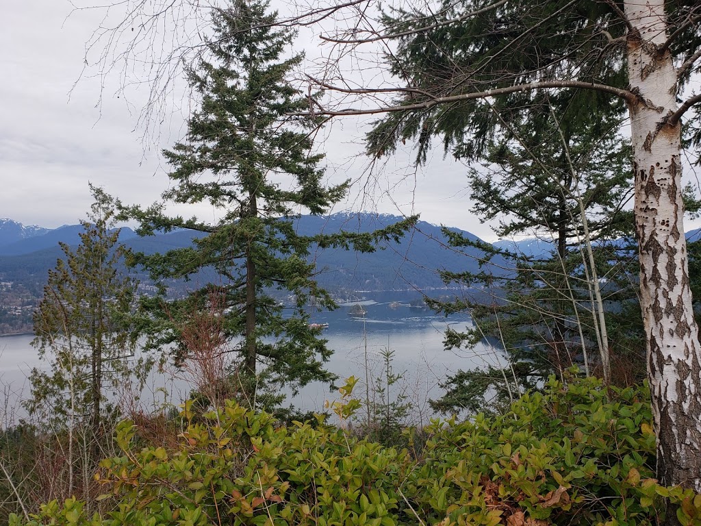 Burnaby Mountain Conservation Area | 800 Burnaby Mountain Pkwy, Burnaby, BC, Canada | Phone: (604) 294-7450