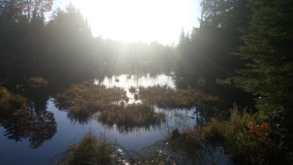 Huron Trail | Chelsea, QC J9B 1H9, Canada
