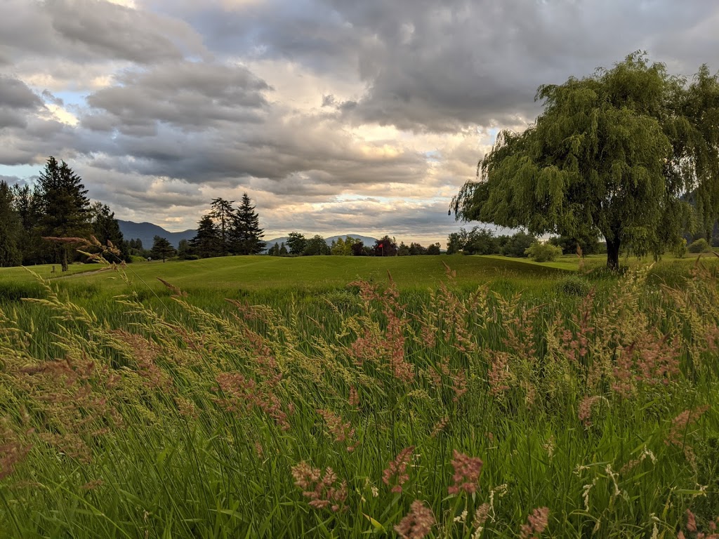 Royalwood Golf Course | 41050 Royalwood Dr, Chilliwack, BC V2R 4J1, Canada | Phone: (604) 823-4653