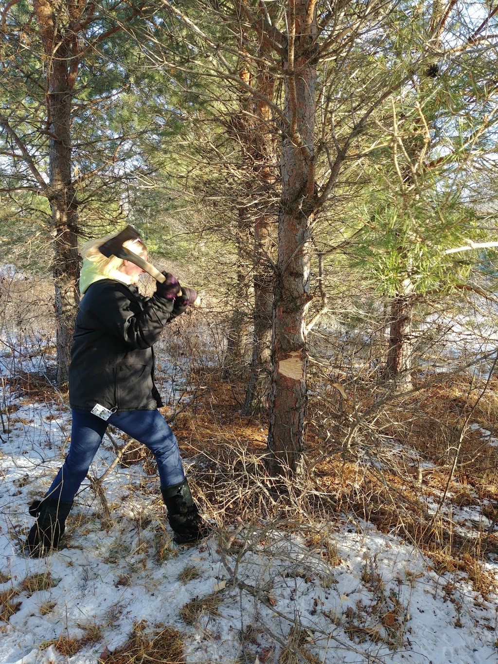 Kowalke Tree Farm | Mile 75 Rd N, Beausejour, MB R0E 0C0, Canada | Phone: (204) 268-2832