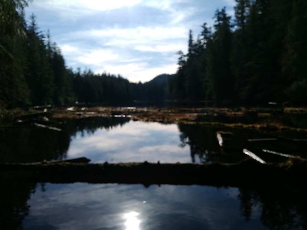Rock Trail | 224 Cleator Rd, Bellingham, WA 98229, USA