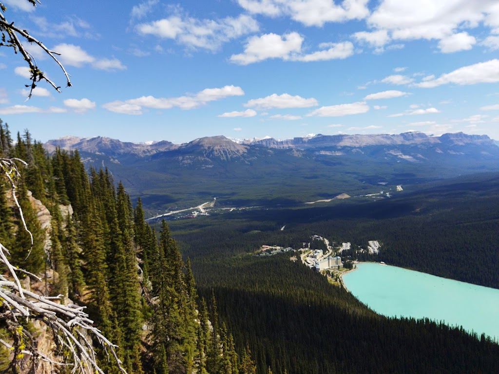 Alberta Tours | 131 Tuscany Springs Cir NW, Calgary, AB T3L 2N1, Calgary, AB T2M 3Y7, Canada | Phone: (403) 483-9578