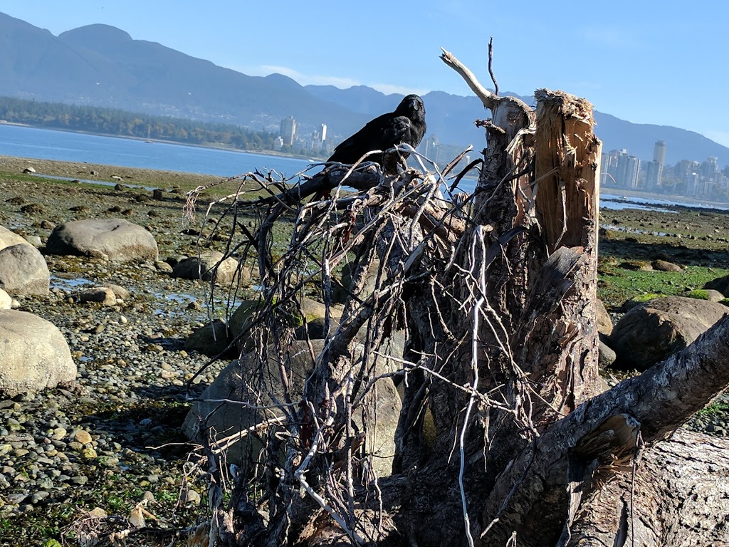 Margaret Pigott Park | 2743 Point Grey Road, Vancouver, BC V6K 1A6, Canada | Phone: (604) 873-7000