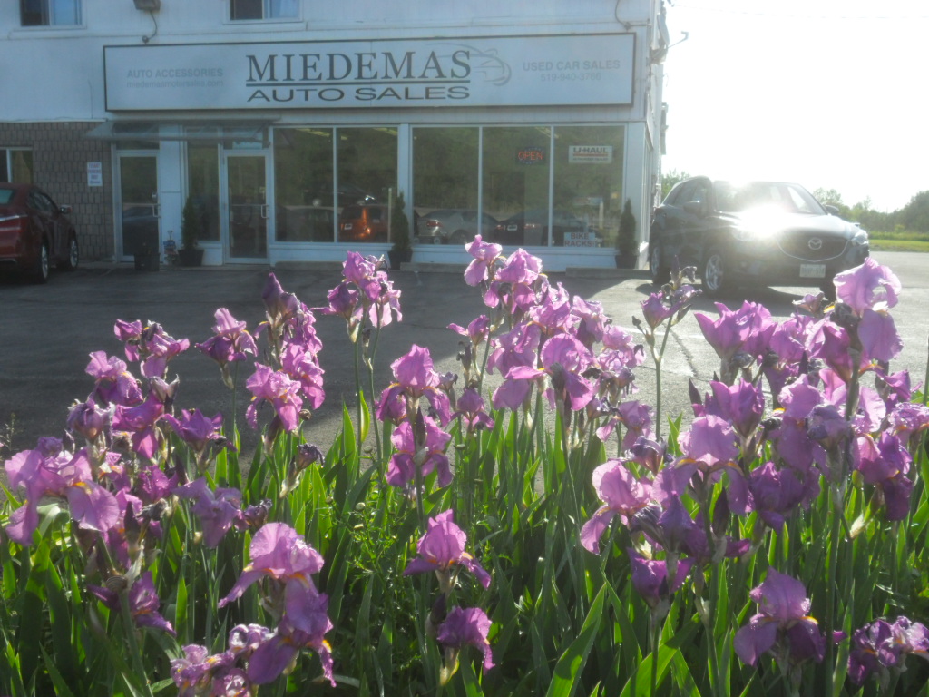 Miedemas Auto Sales | 5N9 633201, ON-10, Mono, ON L9W 5N9, Canada | Phone: (519) 940-3766