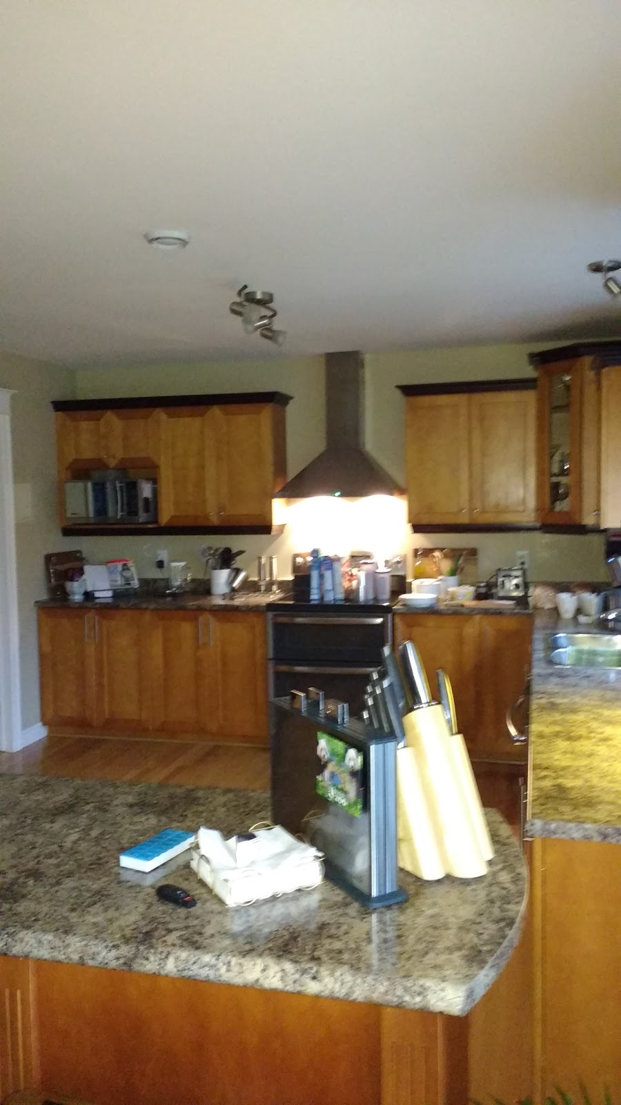 Branscombes Pond Park | Branscomes Pond Walk, Mount Pearl, NL A1N 3L2, Canada
