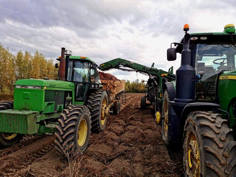 Les Patates Turcot Inc | 657 Rang de la Rivière S, Saint-Lin - Laurentides, QC J5M 2A1, Canada | Phone: (450) 439-2639