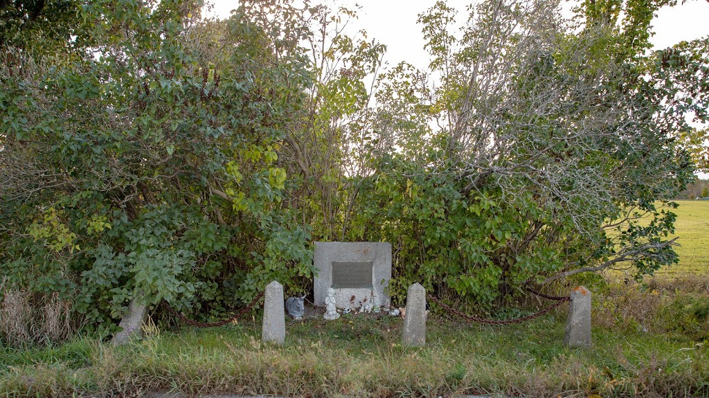 James Williamson Cemetery | 1640-1924, Kawartha Lakes County Rd 46, Woodville, ON K0M 2T0, Canada