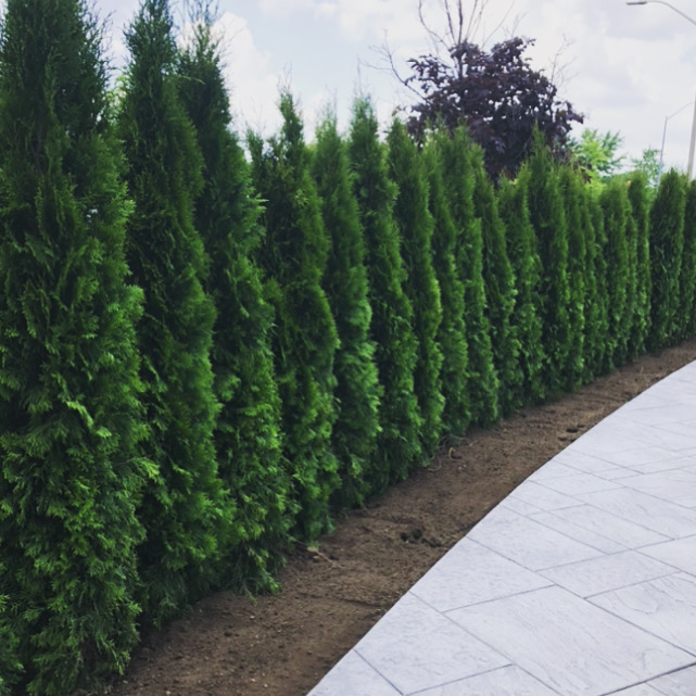Decomax landscaping | 650 Pritchard Rd, Hamilton, ON L8W 3P6, Canada | Phone: (289) 689-7087