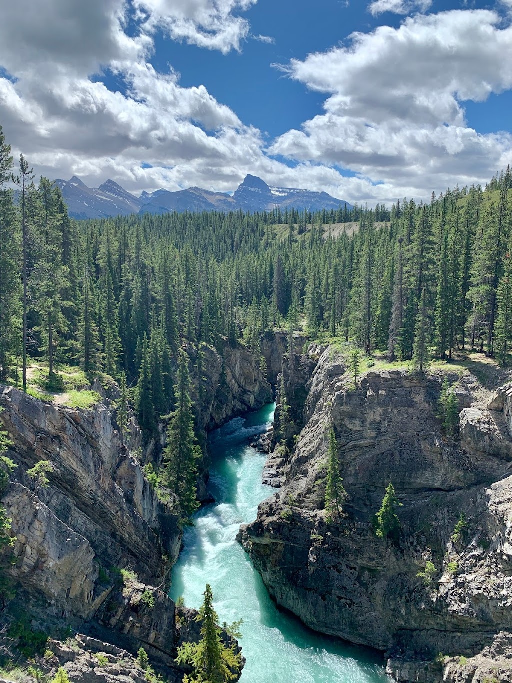 Cheechako cabins | 205 Grouse Meadow Ln, Nordegg, AB T0M 2H0, Canada | Phone: (403) 721-2230