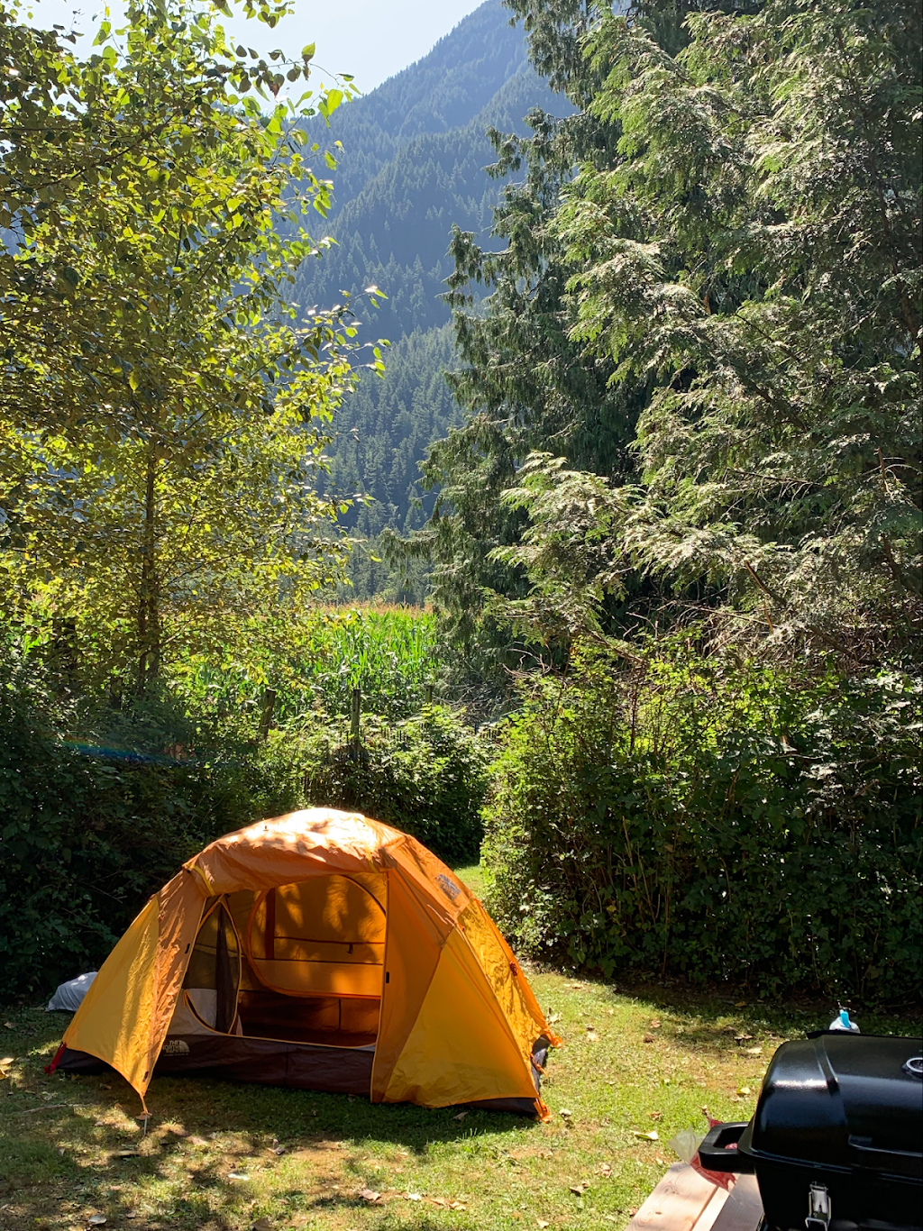 WildRose Campground & RV Park | 62030 Flood Hope Rd, Hope, BC V0X 1L2, Canada | Phone: (604) 869-9842