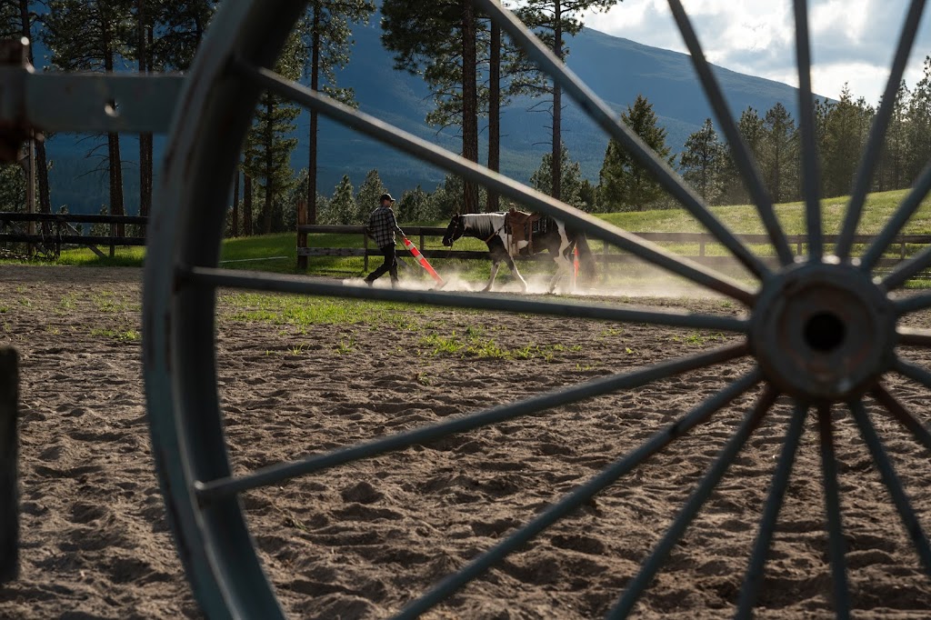 Freedom Equine Association | 4344 Fenwick Rd, Wardner, BC V0B 2J0, Canada | Phone: (250) 430-2233