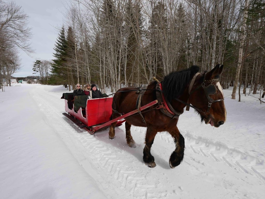 Potts Sleigh Rides | 439 Bonshaw Rd, Bonshaw, PE C0A 1C0, Canada | Phone: (902) 675-2107