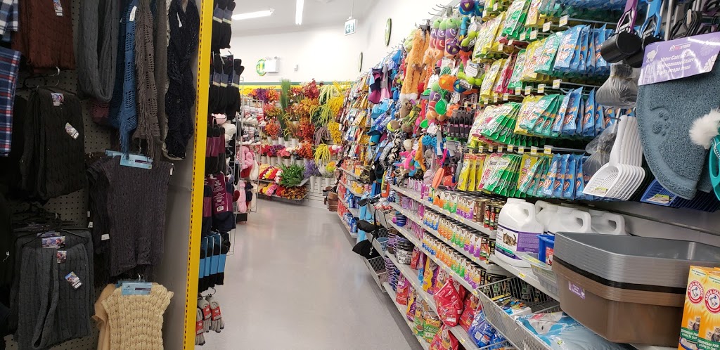 Dollarama | 5713 152 St Panorama, Market Place, Surrey, BC V3S 0A1, Canada | Phone: (778) 547-1154