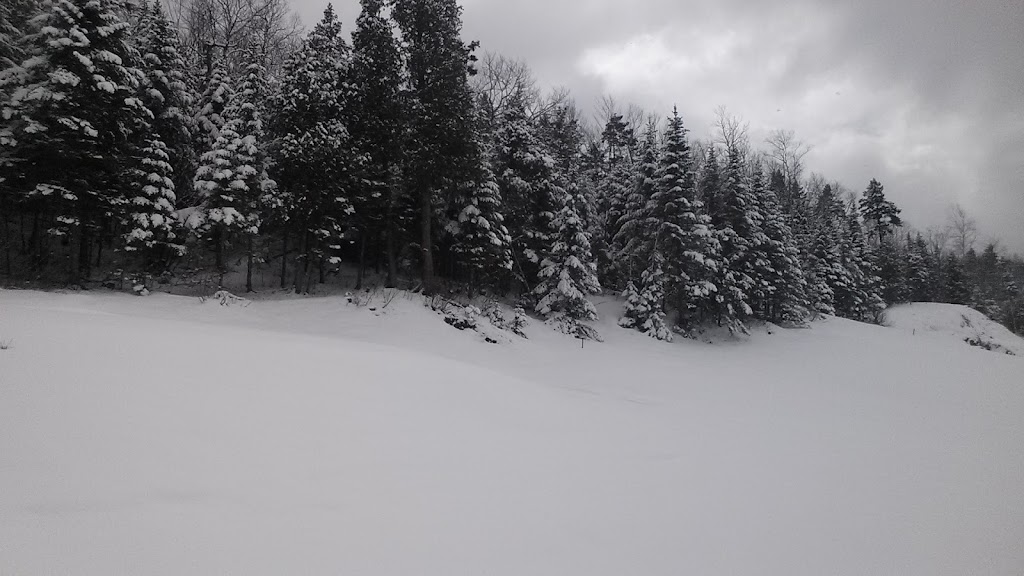 Club De Golf Du Mont Adstock | 120 Rte du Mont Adstock, Adstock, QC G0N 1S0, Canada | Phone: (418) 422-2242