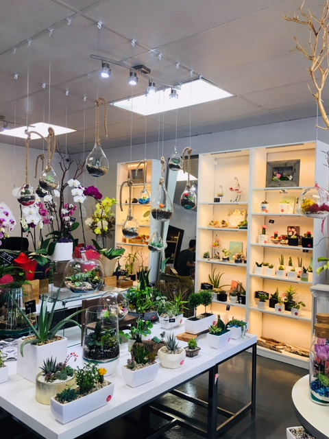 The Heart Company | 3830 Sunset St, Burnaby, BC V5G 1T3, Canada | Phone: (604) 435-2495