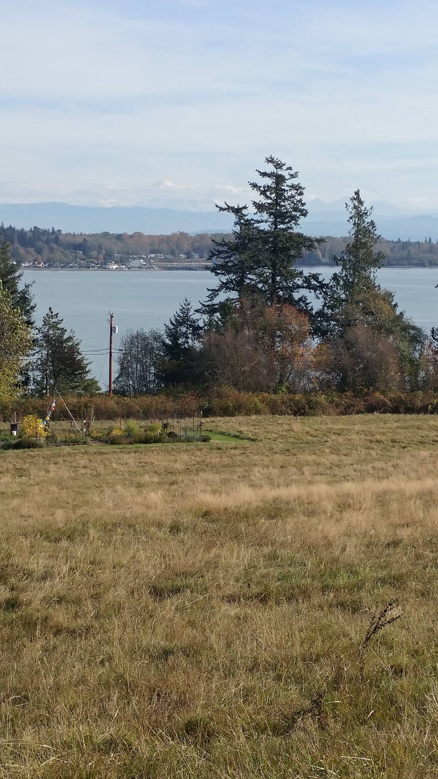 Curry Preserve | 2449 N Nugent Rd, Lummi Island, WA 98262, USA