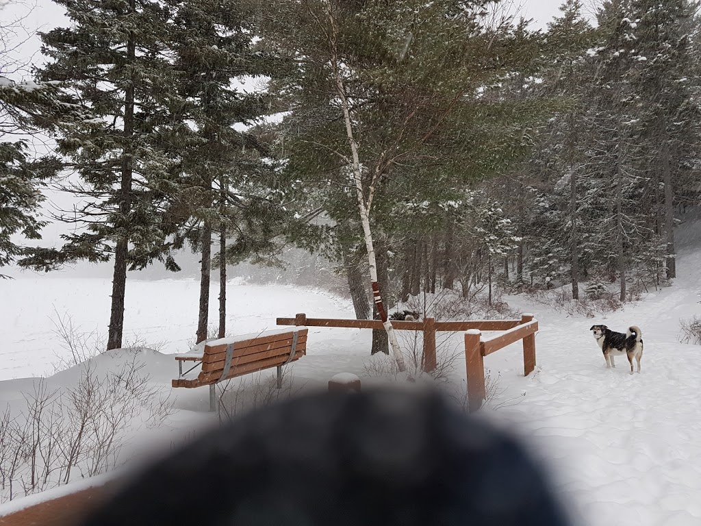 Sandy Lake Park | Bedford, NS B4B 1B6, Canada | Phone: (902) 490-4000