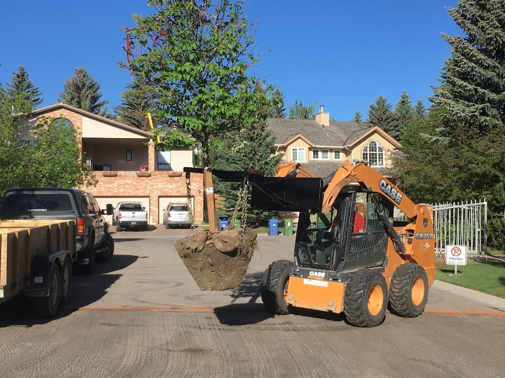 Total Tree Solutions Ltd | 24137 Old Banff Coach Rd NW, Calgary, AB T3Z 3N4, Canada | Phone: (403) 400-4572