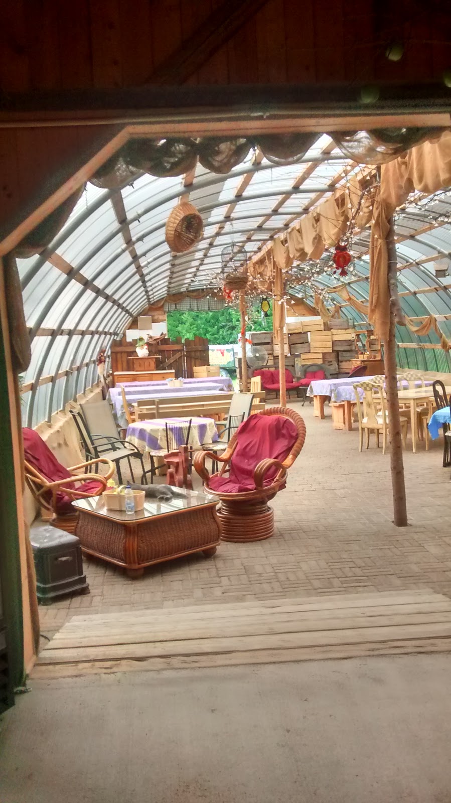 Le Verger à Ti-Paul Inc | 260 Rang du Bas-Saint-Jacques, Saint-Elzéar, QC G0S 2J0, Canada | Phone: (418) 387-1333